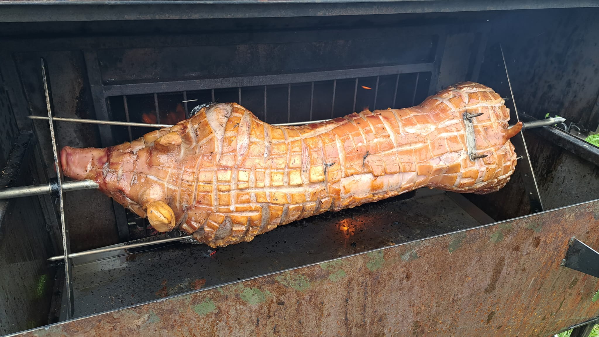 0e4985a2-c4a2-4025-a7b2-9290aa52d755