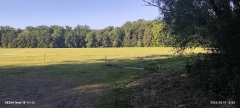img_20260619_185253